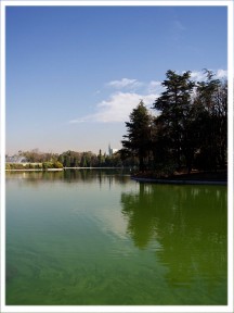 Lago de los Cisnes